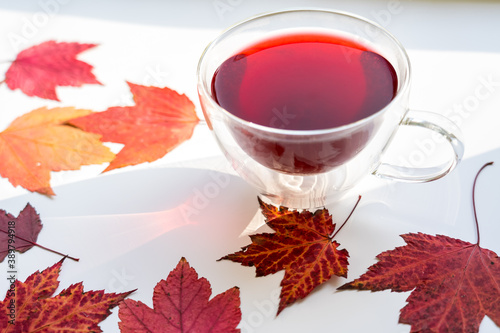 Heat Resistant Glass Mug with red herbal tea on the white table among red maple leaves
