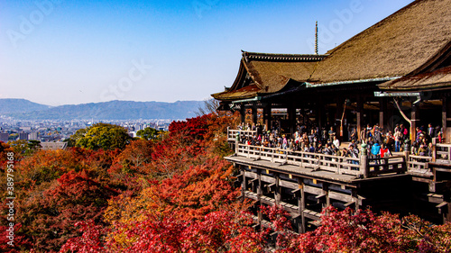 清水の舞台 Images – Browse 698 Stock Photos, Vectors, and Video | Adobe Stock 清水の舞台 Images – Browse 698 Stock Photos, Vectors, and Video | Adobe Stock