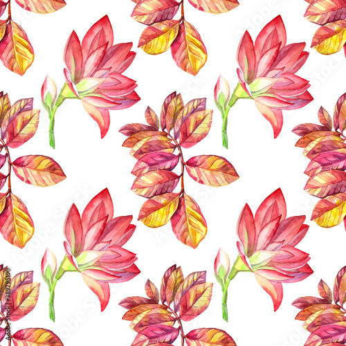 Seamless pattern watercolor pink flower blossom lily with petals  bud and branch leaves on white. Art creative background for wallpaper  wrapping  wedding  celebration