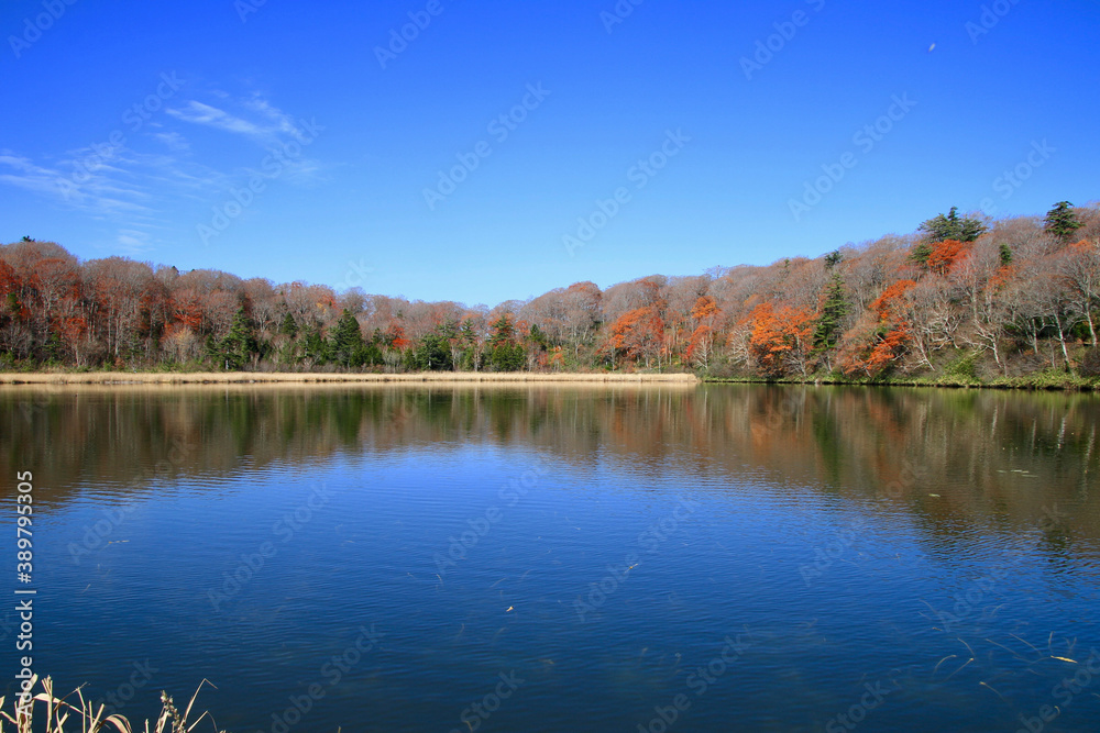 Fototapeta premium 秋の八幡平大沼茶屋湖（秋田県・鹿角市）