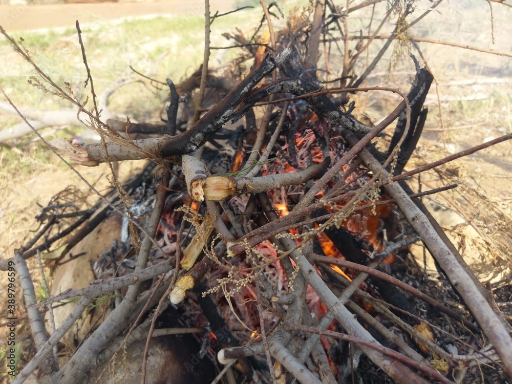 fire in the woods fire in the woods