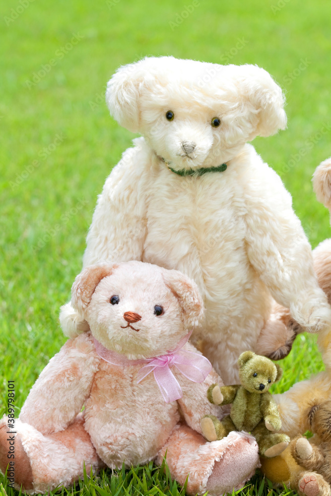 テディベアの家族