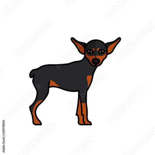 miniature pinscher dog pet mascot breed character