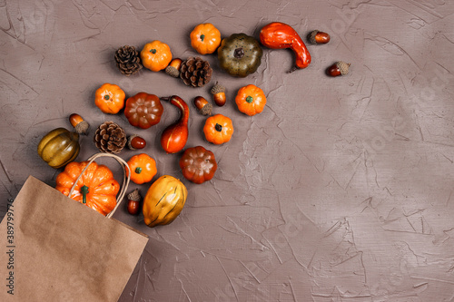 Brown paper shopping bag with decorative pumpkins, acorns and cones on brown background. Holiday shopping and sale.