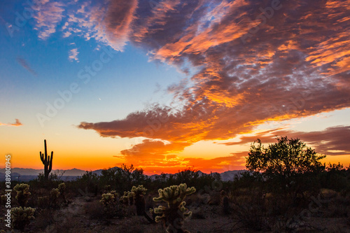 A fiery sunset in the desert in Arizona