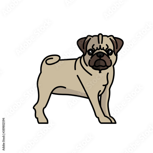 pug dog pet mascot breed character