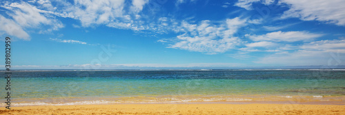 Fototapeta Naklejka Na Ścianę i Meble -  Hawaiian beach