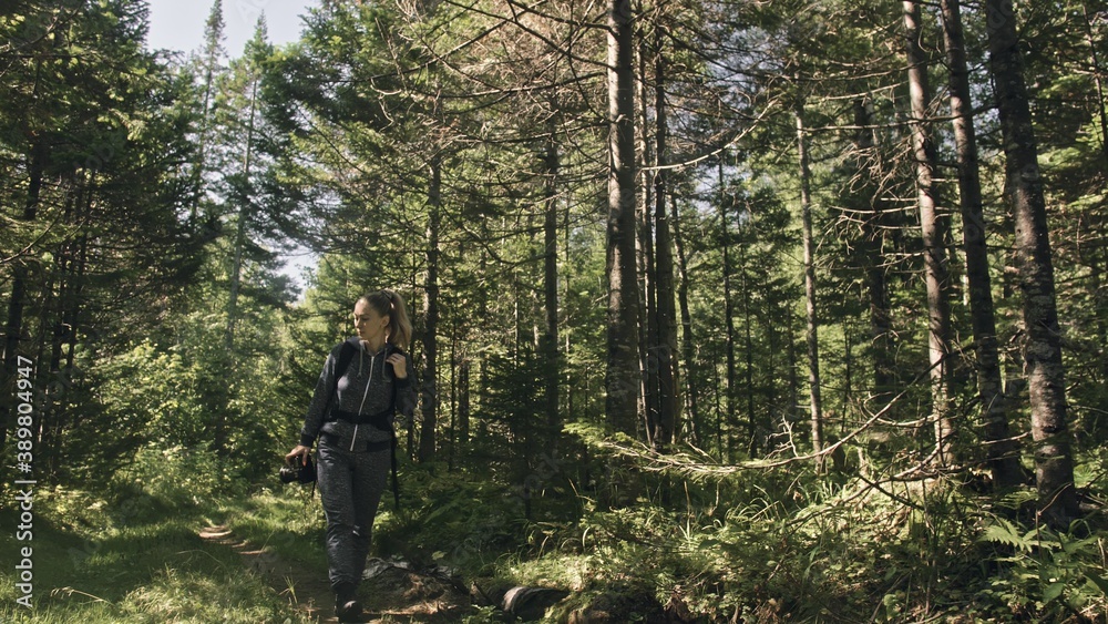 Traveler photographing scenic view in forest. One caucasian woman shooting nice magic look. Girl take photo video on dslr mirrorless camera. Professional photographer travel with backpack. Outdoor. Traveler photographing scenic view in forest. One caucasian woman shooting nice magic look. Girl take photo video on dslr mirrorless camera. Professional photographer travel with backpack. Outdoor.