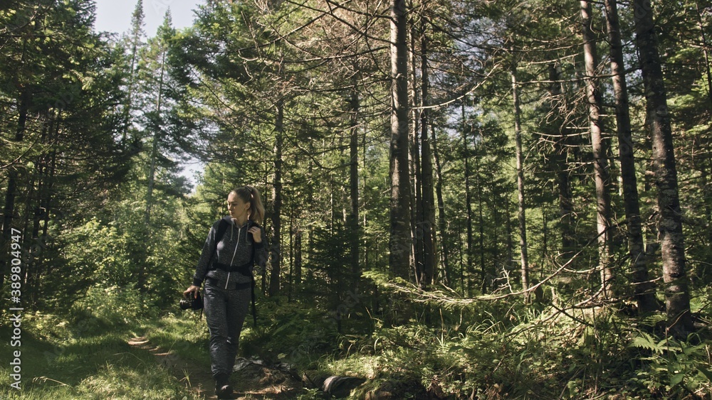 Traveler photographing scenic view in forest. One caucasian woman shooting nice magic look. Girl take photo video on dslr mirrorless camera. Professional photographer travel with backpack. Outdoor.