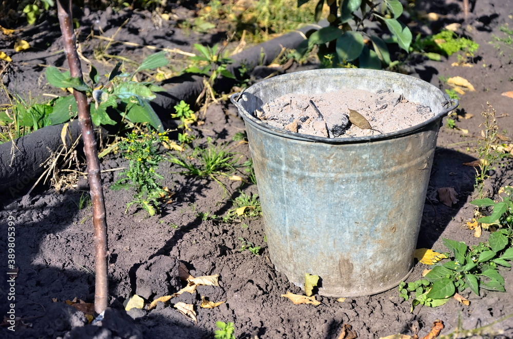 A garden bucket with ash fertilizer stands in the garden. Bright summer photo of garden tools. Beneficial ingredients for the soil. A garden bucket with ash fertilizer stands in the garden. Bright summer photo of garden tools. Beneficial ingredients for the soil.