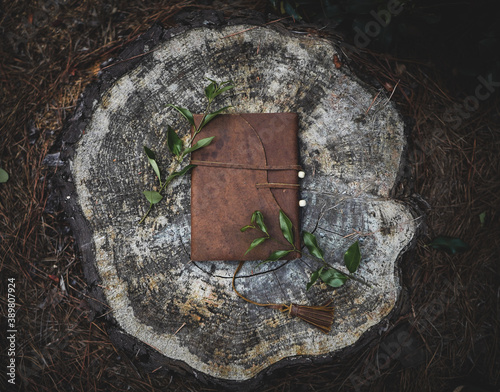 Journal on a Tree Stump photo