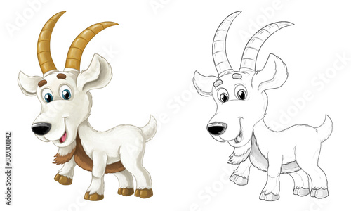Fototapeta Naklejka Na Ścianę i Meble -  Cartoon sketch scene with horned goat standing and looking illustration
