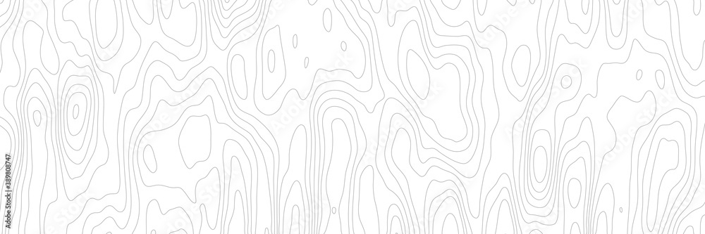 Wood texture imitation, black lines on white background, vector design, banner	