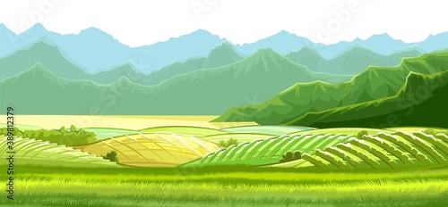 Rural hills. Scenery. Pasture grass for cows and a place for a vegetable garden. Landscape with meadows and farm fields. The mountains. Beautiful view. Summer. Vector
