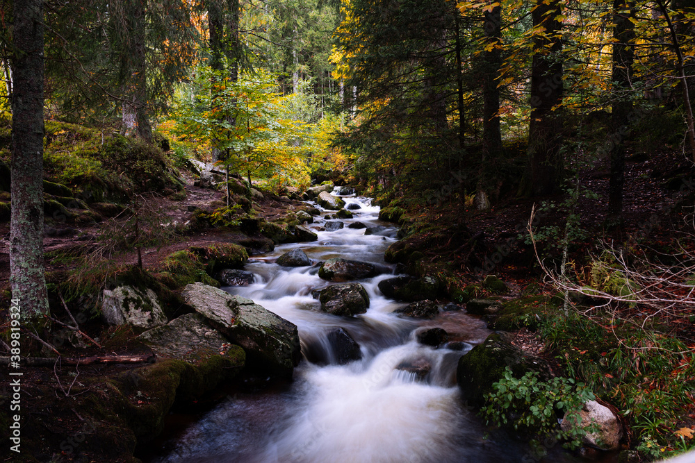 Bachlauf im Schwarzwald, Herbst