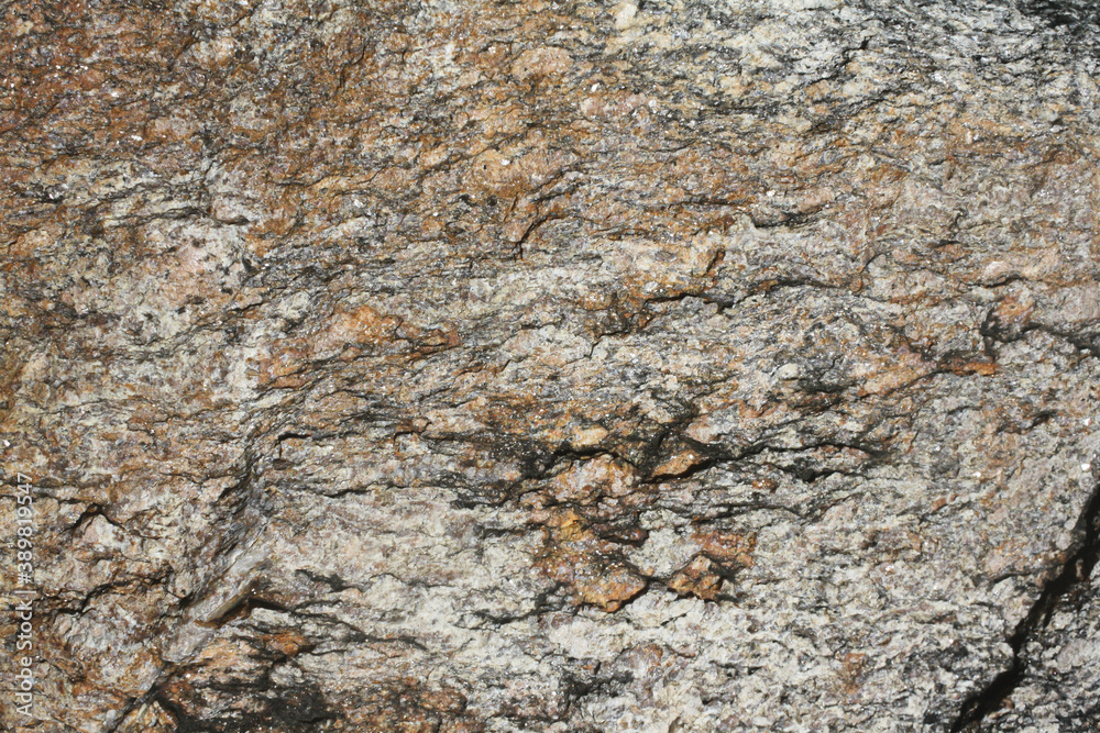 Metamorphic rock . Gneiss surface. Gneissic texture