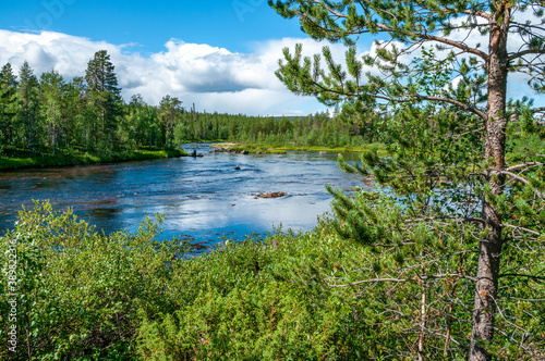 View of the Blue River from the bank through the forest against the background of a beautiful sky