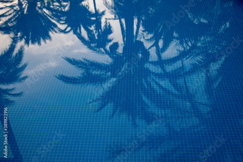 Swimming pool backgrounds. Background texture of beautiful reflection of coconut trees in the blue color swimming pool with tiles under water.