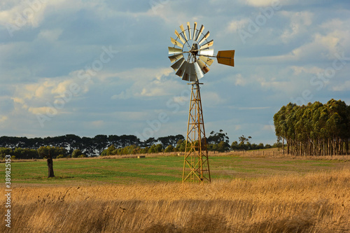 Fényképezés Sunlit windmill in a paddock in country Victoria, Australia.