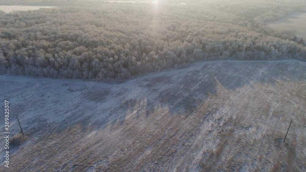 aerial view winter landscape snow covered field and trees in countryside. winter in countryside. Snow covered farmland and trees during winter aerial view winter landscape snow covered field and trees in countryside. winter in countryside. Snow covered farmland and trees during winter