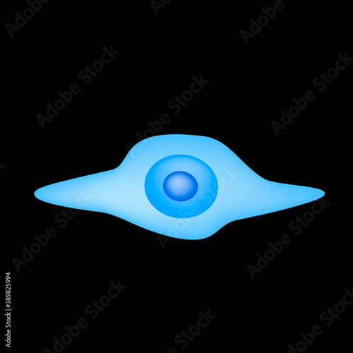 Mesenchymal stem cells. Stem cell structure. vector illustration