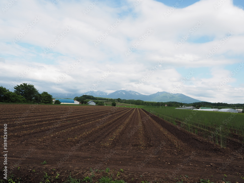Greeen ecological farmland landscape with fields, mountains and clouds giving crop during harvest in Furano, Hokkaido, northern Japan Greeen ecological farmland landscape with fields, mountains and clouds giving crop during harvest in Furano, Hokkaido, northern Japan