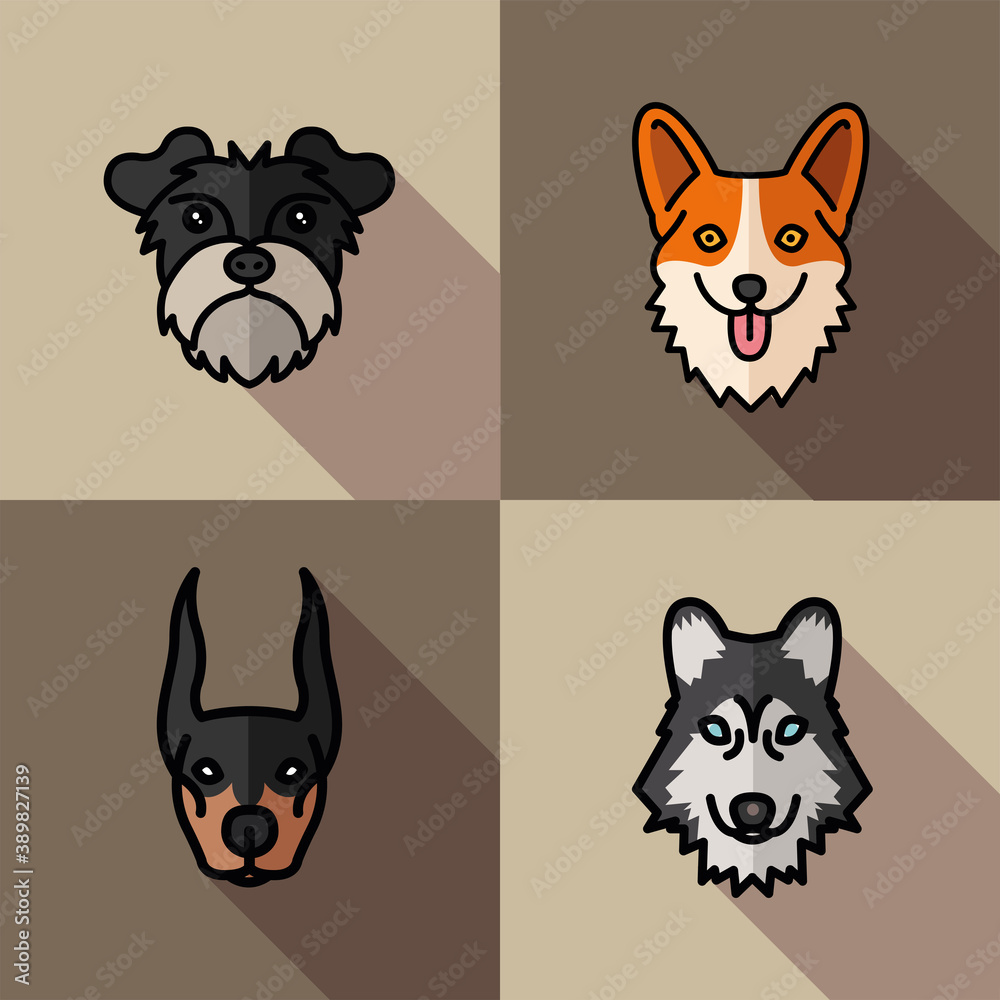 Obraz premium four dogs pets mascots breed characters