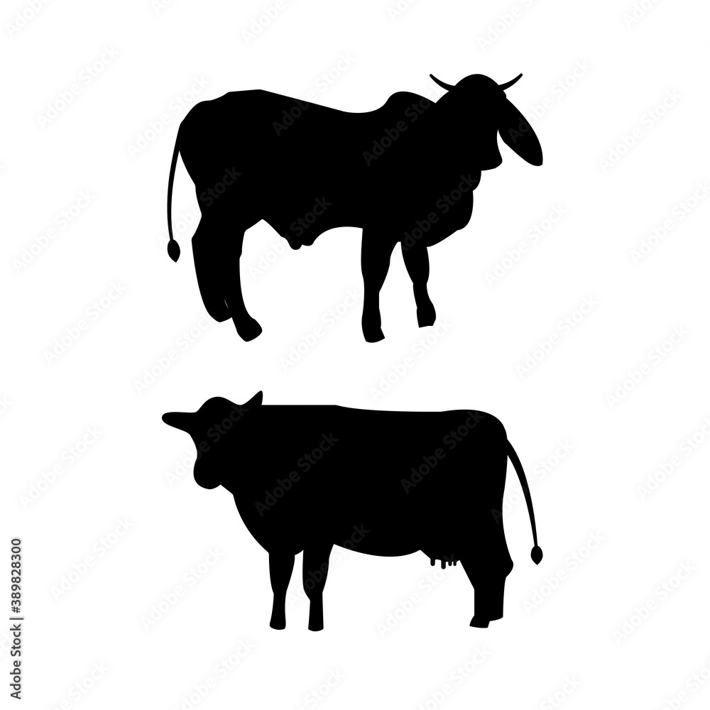bull and a female cow silhouette on a white background bull and a female cow silhouette on a white background