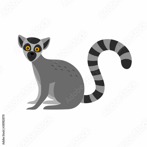 Sitting lemur in a flat style on a white background.
