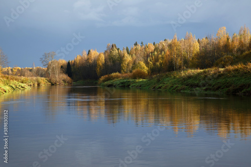 Landscape with trees in golden foliage reflecting in the river on a sunny autumn day.
