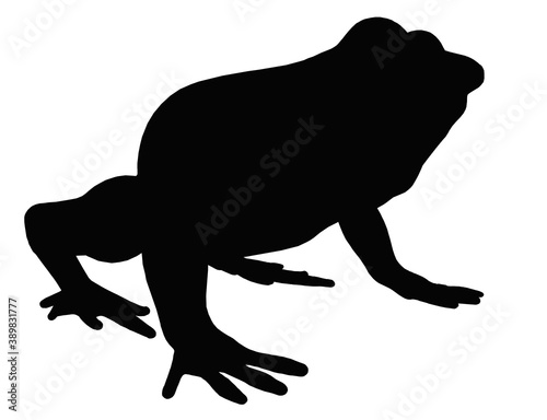 Silhouette mit einem Frosch