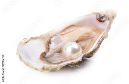 Pearl in a shell on a white background