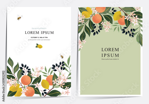 Vector illustration of a beautiful floral frame set with fruits. Design for cards, party invitation, Print, Frame Clip Art and Business Advertisement and Promotion