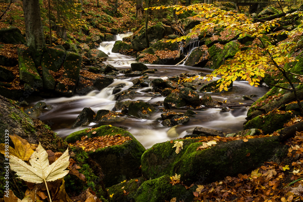 Flowing river in autumn