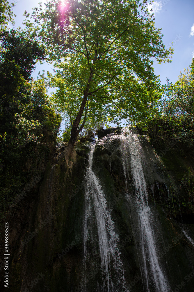 Fototapeta premium waterfall in the forest