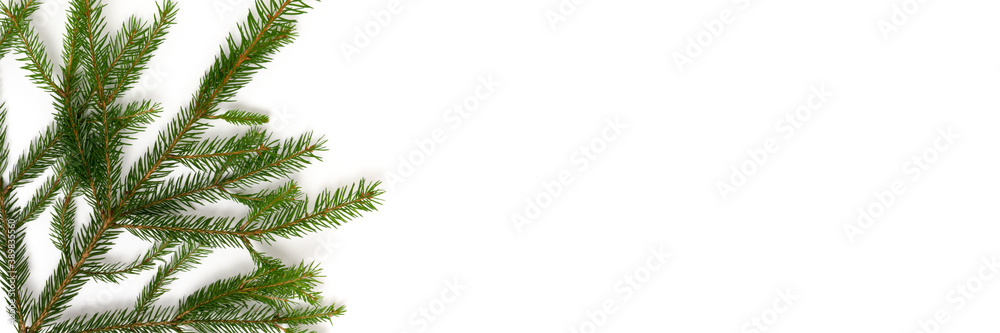 Banner with fir branch on a white background. Nature eco concept with place for your design. Banner with fir branch on a white background. Nature eco concept with place for your design.