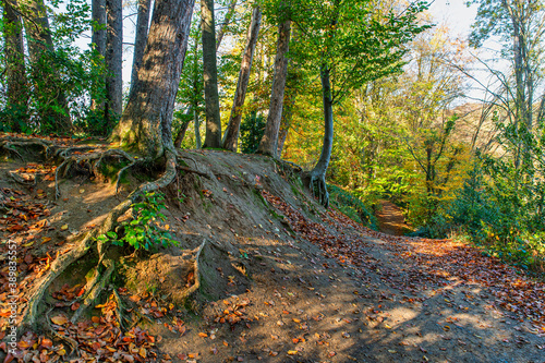 Bild auf Leinwand Wanderweg