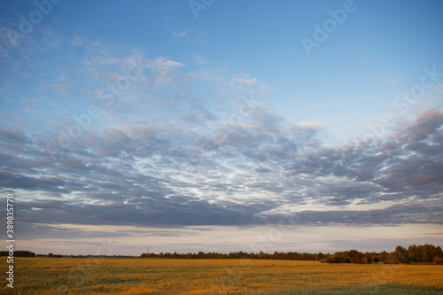 blue sky with variegated clouds over the field