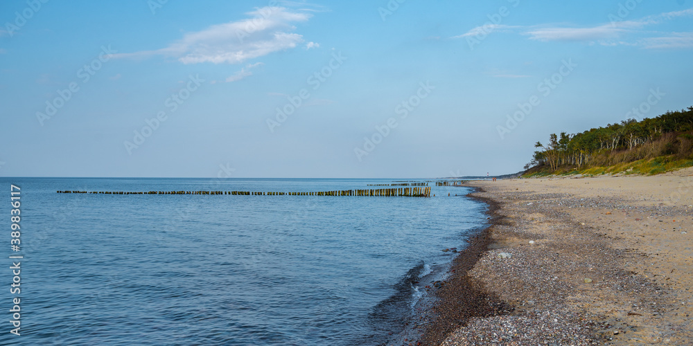 Panoramic view of the beach shoreline with sand and pebbles, in the distance breakwater and pine forest against the blue sky with clouds, Kursh spit, Russia