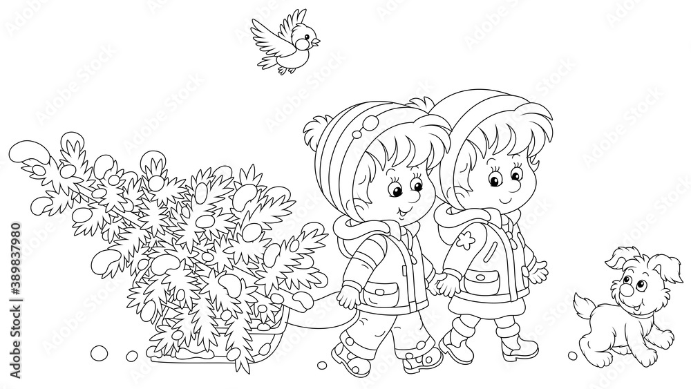 Happy little kids carrying a snowy fir tree on a small sled to decorate it to Christmas, black and white outline vector cartoon illustration for a coloring book page Happy little kids carrying a snowy fir tree on a small sled to decorate it to Christmas, black and white outline vector cartoon illustration for a coloring book page