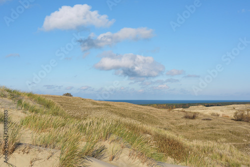 Sandy Grey Dunes at the Curonian Spit in Lithuania