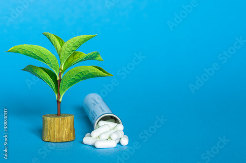 A green sprout in an oak branch and a bottle with a bunch of white capsules of pills on a blue background.