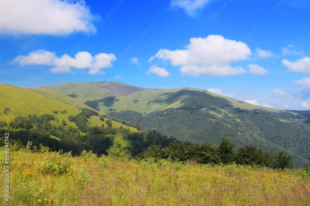Fototapeta premium Aerial view of the spruces and the Borzhava ridge in Carpathian mountains, Transcarpathia, Western Ukraine. Amazing vacation in the Ukrainian mountains. Mountainous countryside