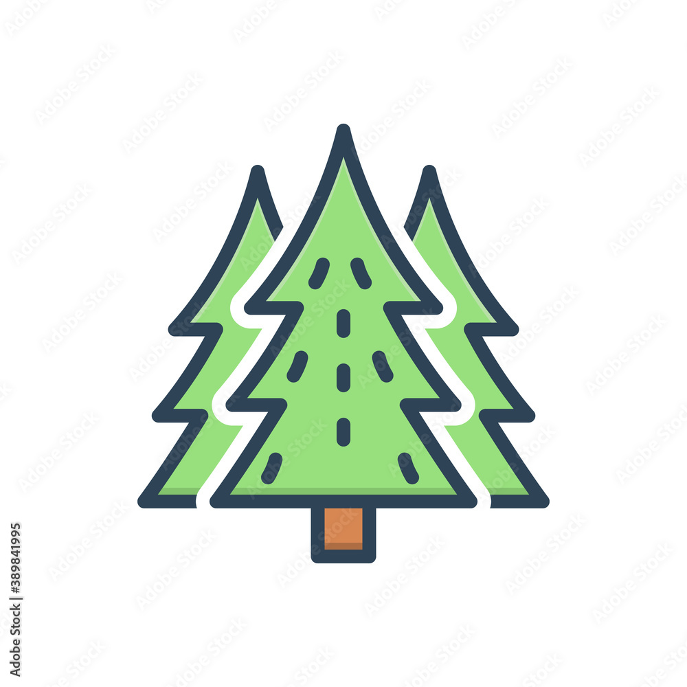 Fototapeta premium Color illustration icon for pine