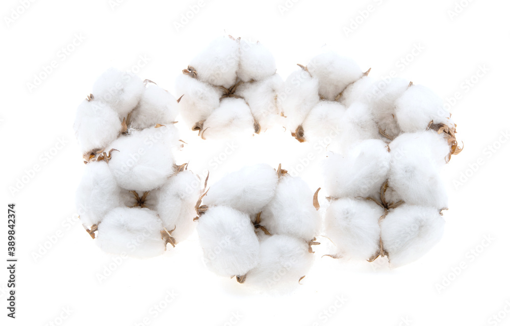 cotton bud isolated cotton bud isolated