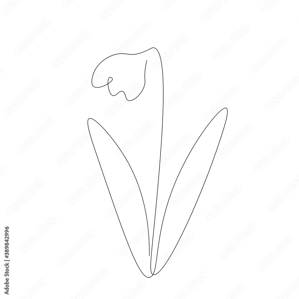 Snowdrop flower icon line drawing. Vector illustration Snowdrop flower icon line drawing. Vector illustration