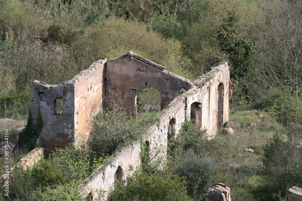 antigua fabrica en ruinas entre la vegetacion