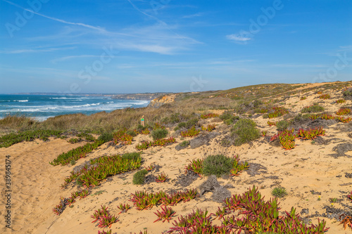 Atlantic rocky coast view
