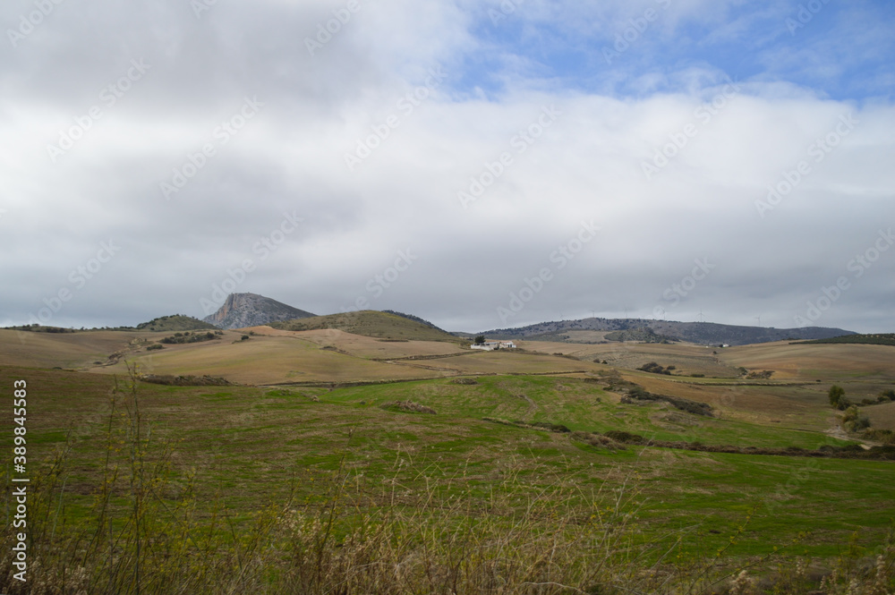 Pastoral Idyllic Landscape near Ronda in Andalusia, Spain