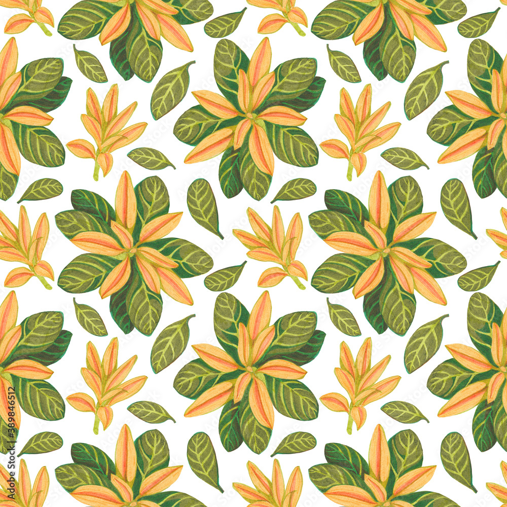 Orange flower seamless pattern with large striped leaves on a white background. Orange flower seamless pattern with large striped leaves on a white background.